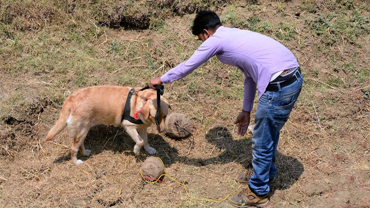 Davanagere Man Arrested for Illegal Hunting Animals Using Crude Bombs